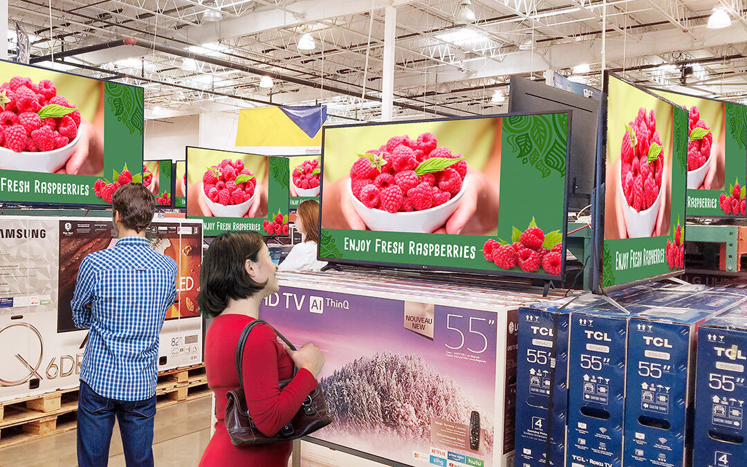 Fresh Raspberries Campaign